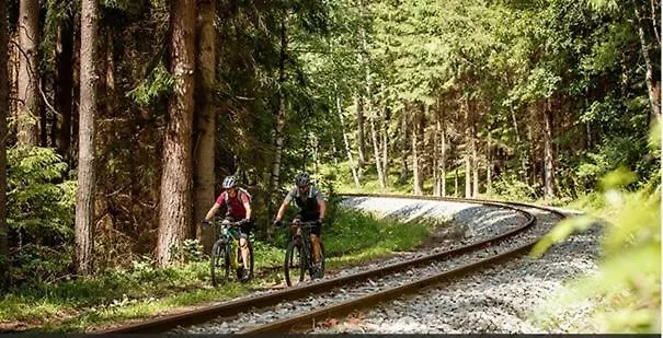 W4 - Engel Appartamento Hoheneich